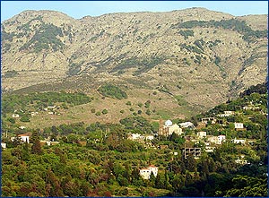 Αρέθουσα