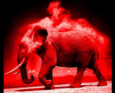 Red Elephants - Burning Buildings